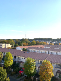 Z˂̒]ʐ^ OʓȂ̂ŁAoRj[̒]ǍD