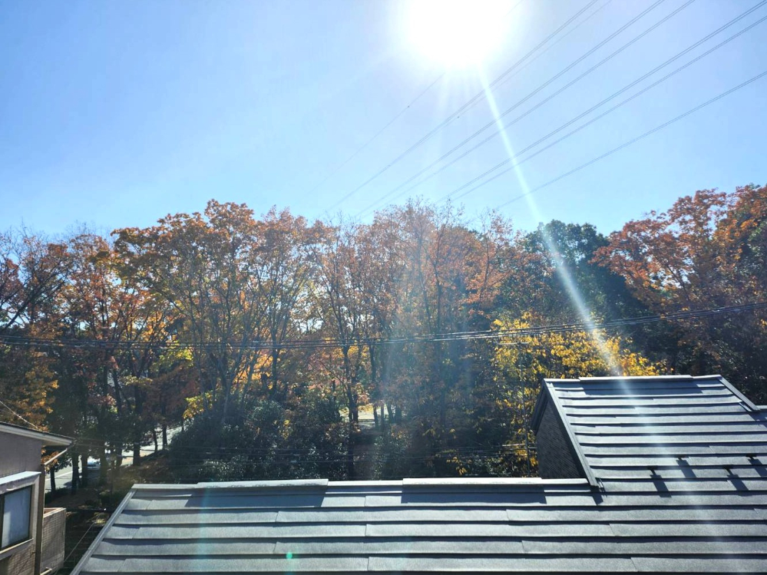 Z˂̒]ʐ^ Ƃ̂̍gtꂢłB