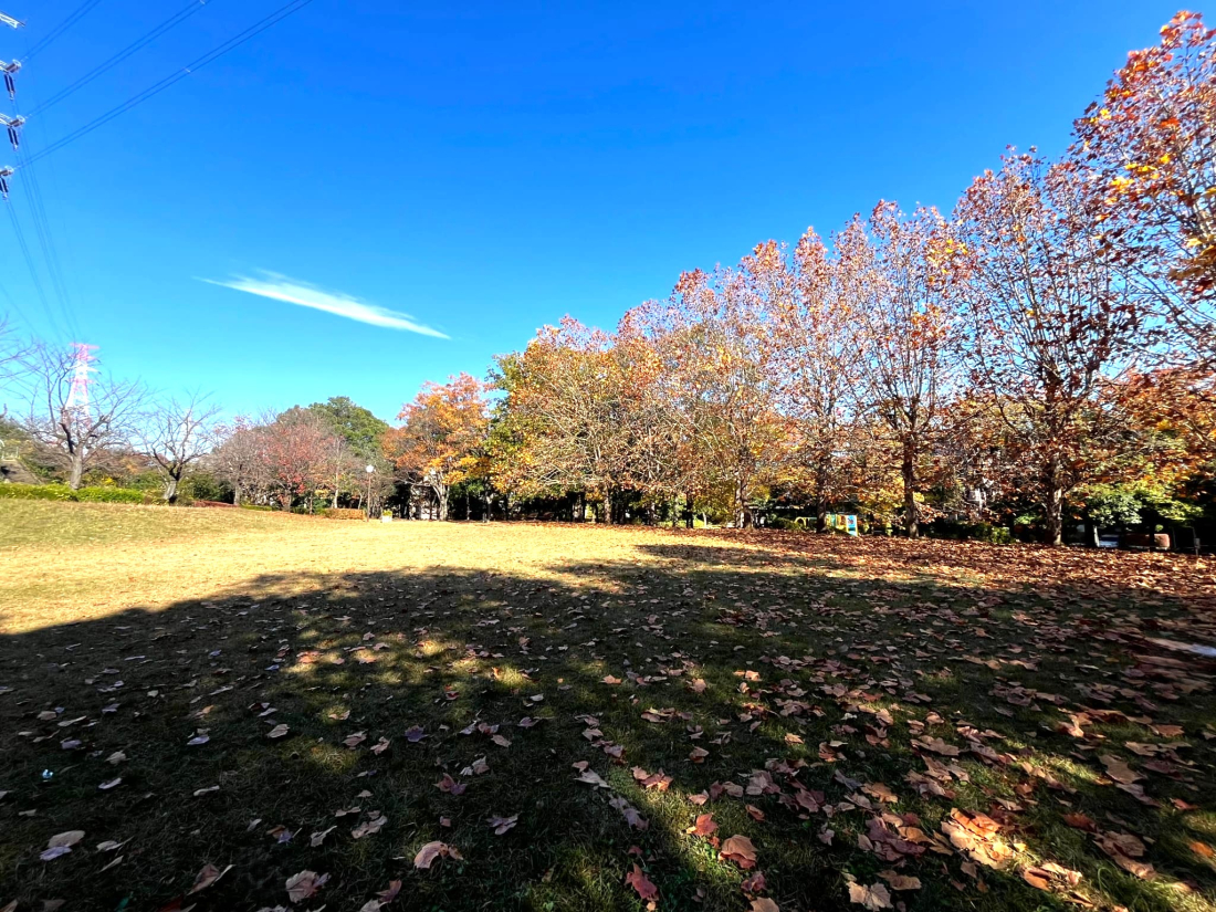 ���ӊ� �Ƃ��̂������@�@�k��1���i��28m�j