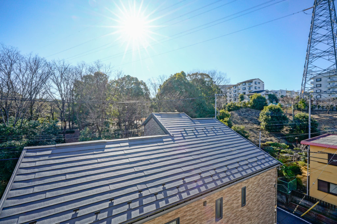 �Z�˂���̒��]�ʐ^ �o���R�j�[����̒��]
�H�ɂ͂Ƃ��̂������̍g�t�����ꂢ�Ɍ����܂��B