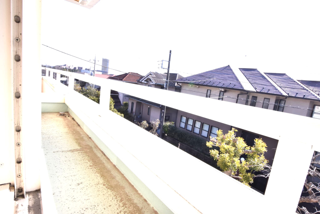 ���̑����� ����6.2��̗m�������J����Ɖԑ䂪�L����A�O���[���������ĕ�炵�ɍʂ��Y�����܂��B