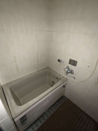 ���� ����