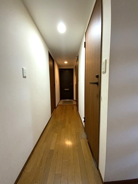 ���̑����� -