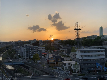 �Z�˂���̒��]�ʐ^ -