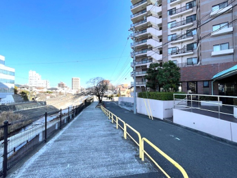 ���̑����n -